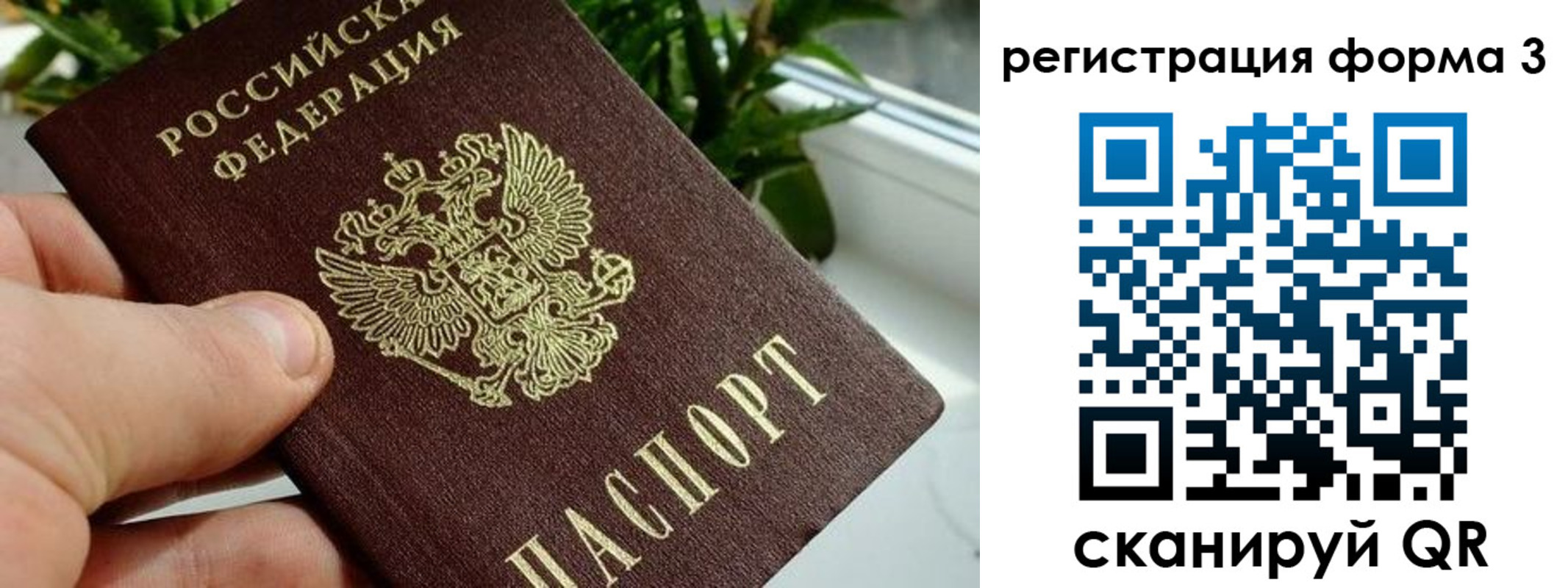 прописка штамп в Борзе